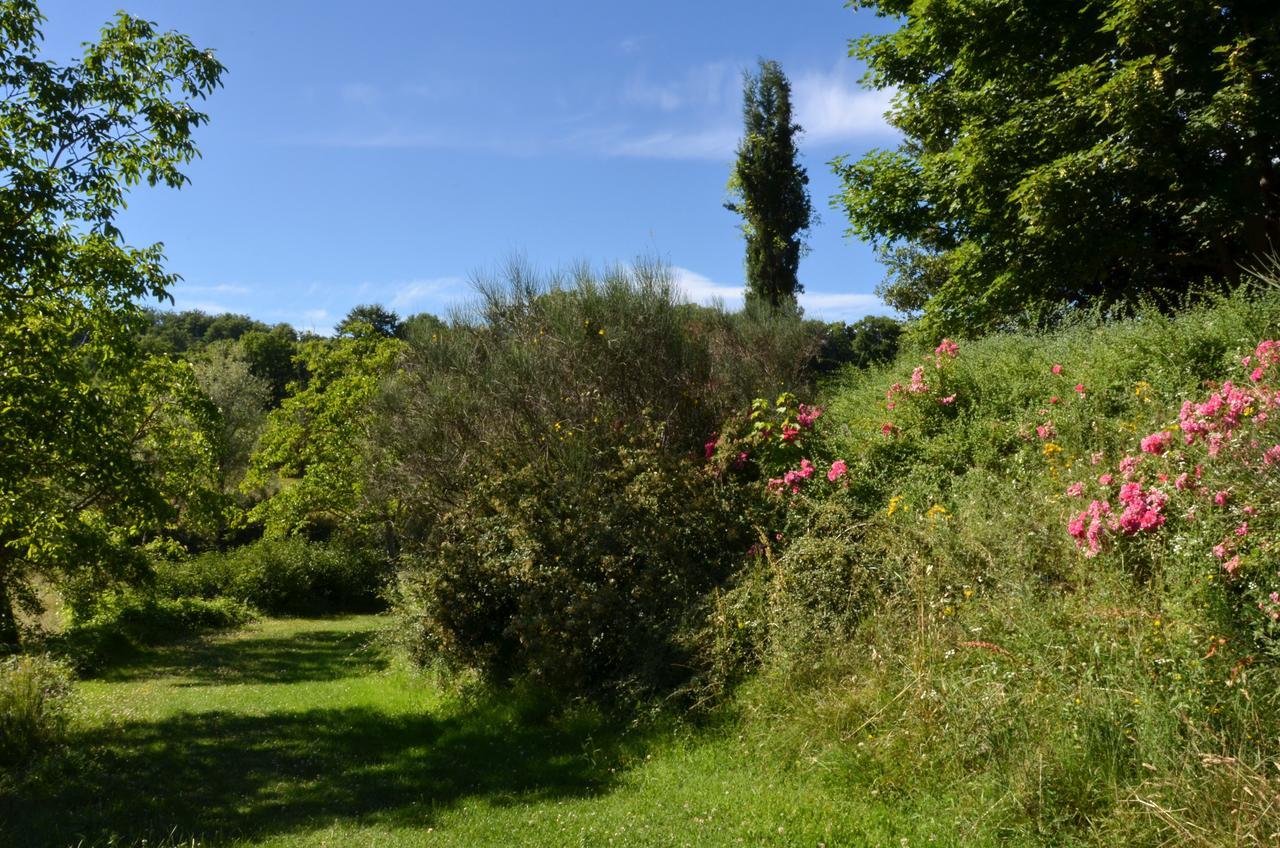 גוביו Agriturismo Villa Mozart Nel Verde מראה חיצוני תמונה
