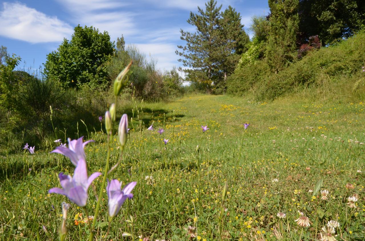גוביו Agriturismo Villa Mozart Nel Verde מראה חיצוני תמונה
