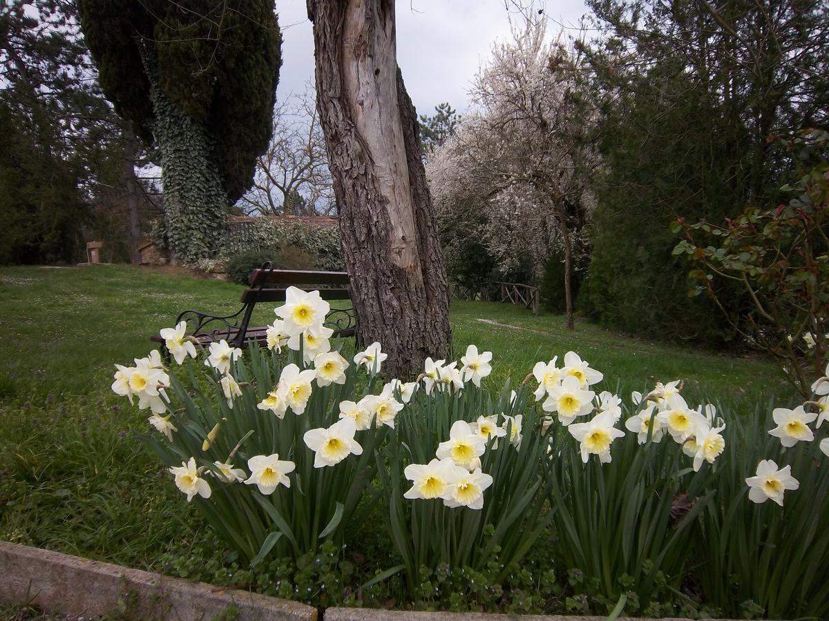 גוביו Agriturismo Villa Mozart Nel Verde מראה חיצוני תמונה
