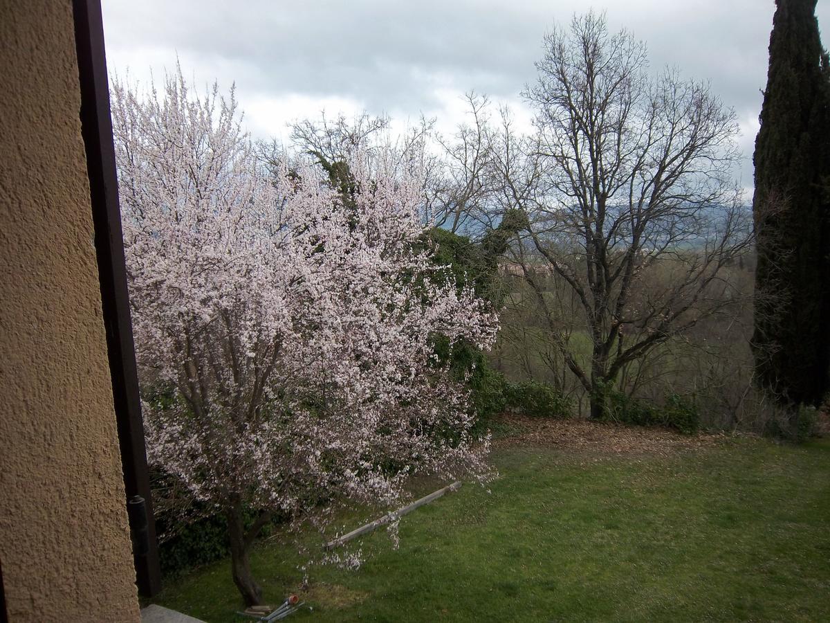 גוביו Agriturismo Villa Mozart Nel Verde מראה חיצוני תמונה