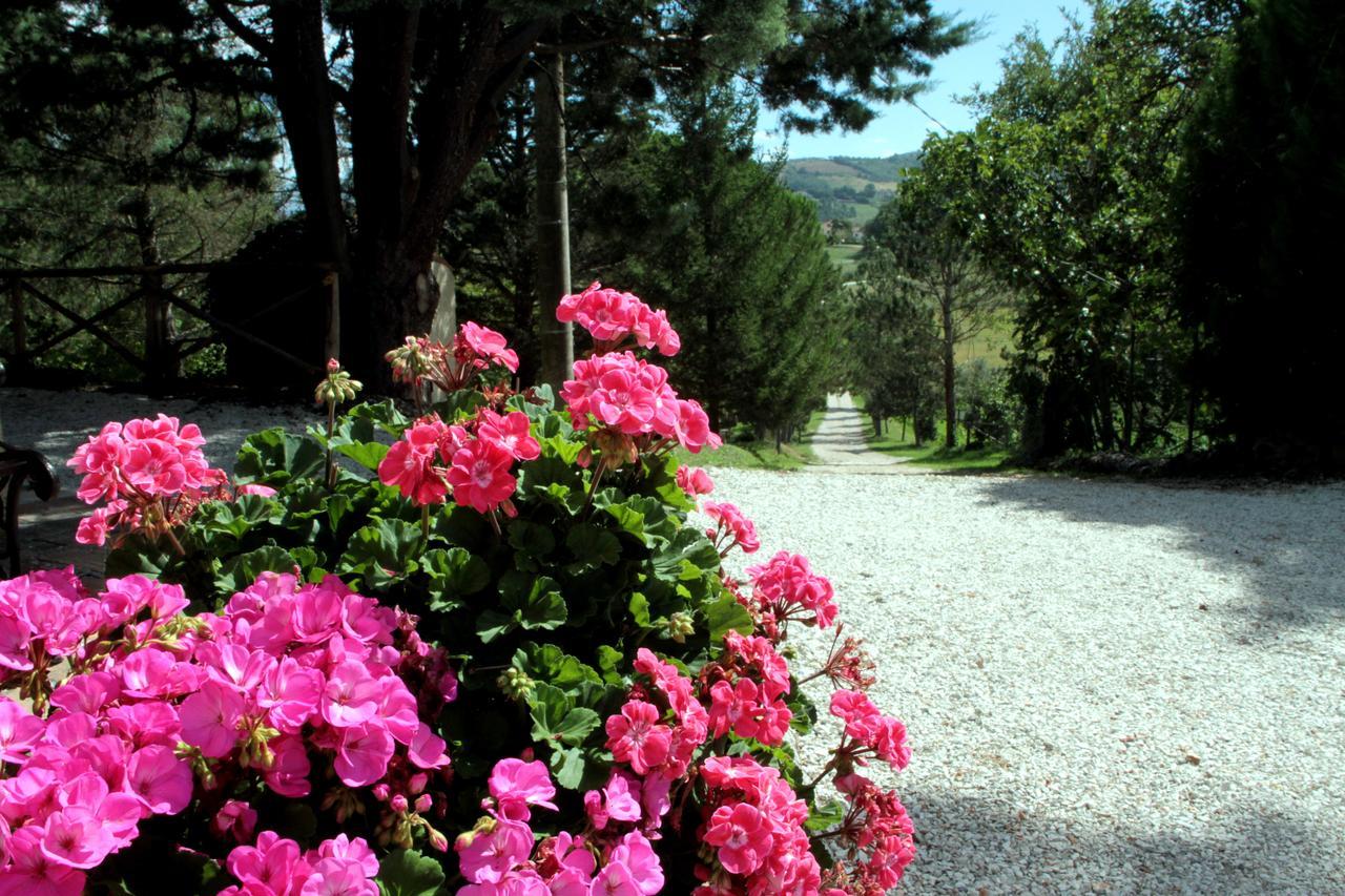 גוביו Agriturismo Villa Mozart Nel Verde מראה חיצוני תמונה
