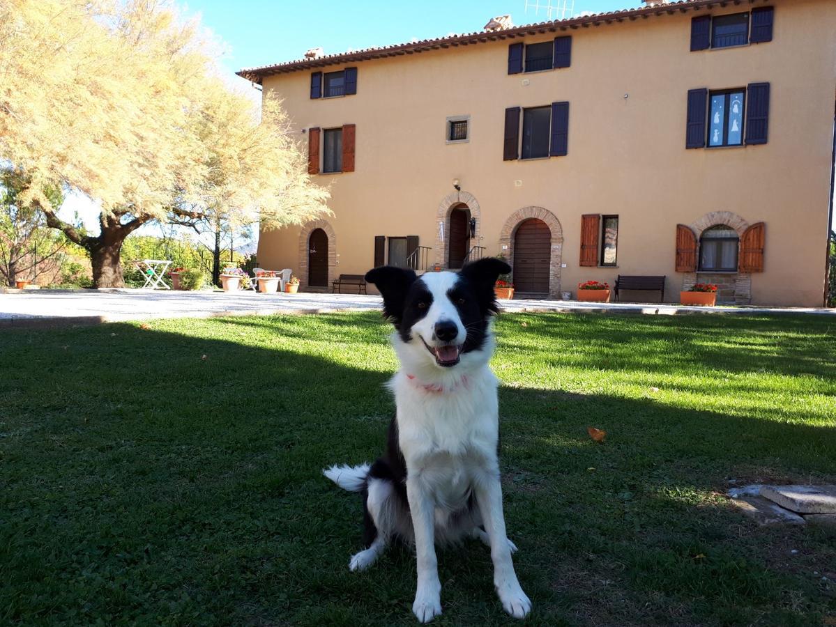 גוביו Agriturismo Villa Mozart Nel Verde מראה חיצוני תמונה