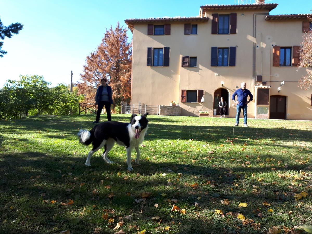גוביו Agriturismo Villa Mozart Nel Verde מראה חיצוני תמונה