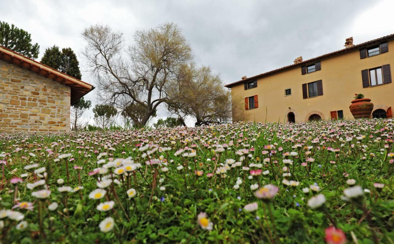 גוביו Agriturismo Villa Mozart Nel Verde מראה חיצוני תמונה
